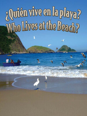 cover image of ¿Quién vive en la playa? (Who Lives at the Beach?)